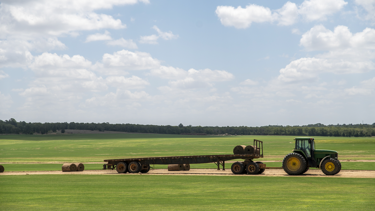 A tractor collects bales of hay during a heatwave outside Elgin, Texas, US, on Wednesday, July 20, 2022. In Texas 100-degree Fahrenheit temperatures plus the soaring costs for feed, fertilizer, fuel and the lack of water and hay have made it too expensive for farmers to sustain livestock.