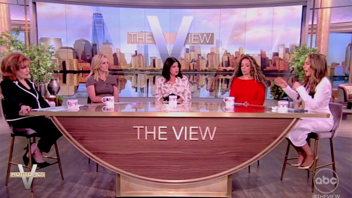 ABC's "The View"