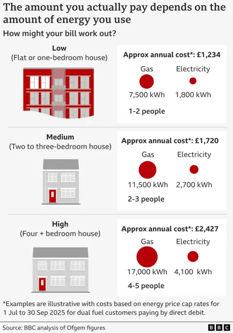Graphic showing how the energy usage of different sized households determines typical bills, with a low-use flat or one bedroom house using 7,500 kWh of gas and 1,800 kWh of electricity paying £1,234, a medium-use two or three-bedroom house using 11,500 kWh of gas and 2,700 kWh of electricity paying £1,720, and a high-use four or more bedroom house using 17,000 kWh of gas and 4,100 kWh of electricity paying £2,427. Calculations are based on the April 2025 price cap figures.