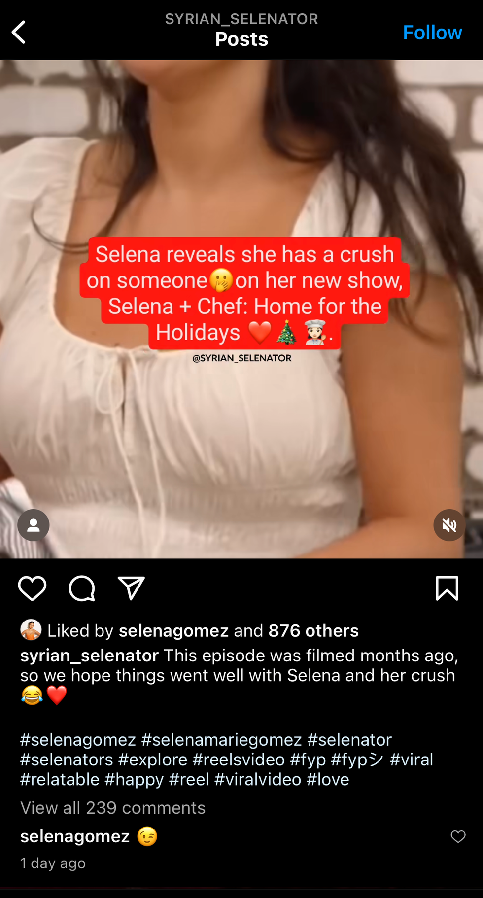selena gomez's comment on the crush post