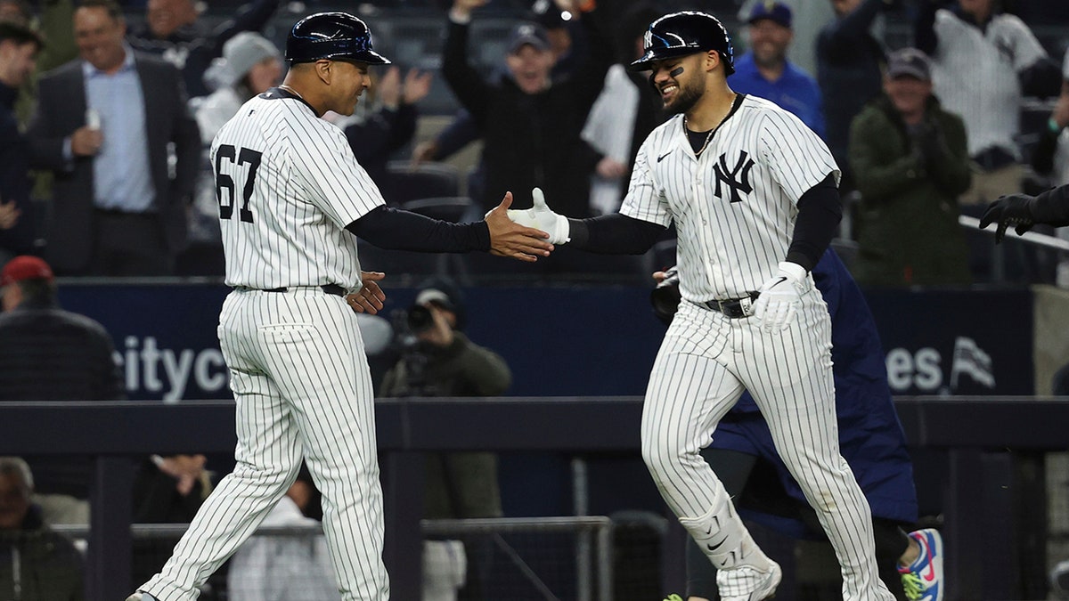 Jasson Dominguez celebrates