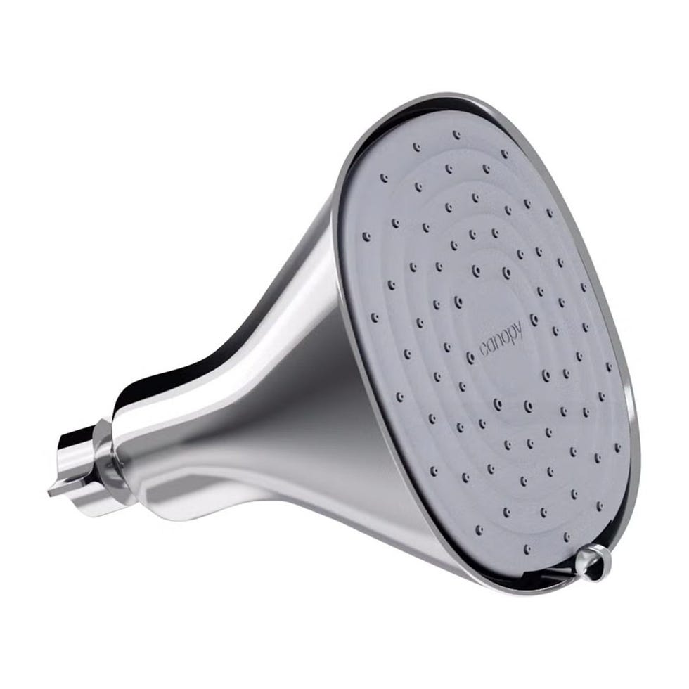 Filtered Showerhead