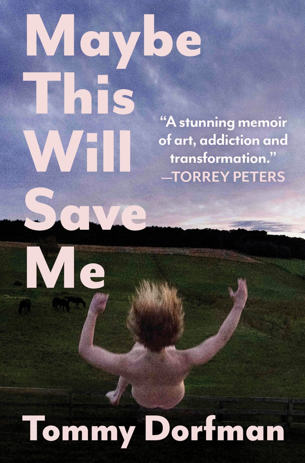 <i>Maybe This Will Save Me</i> by Tommy Dorfman