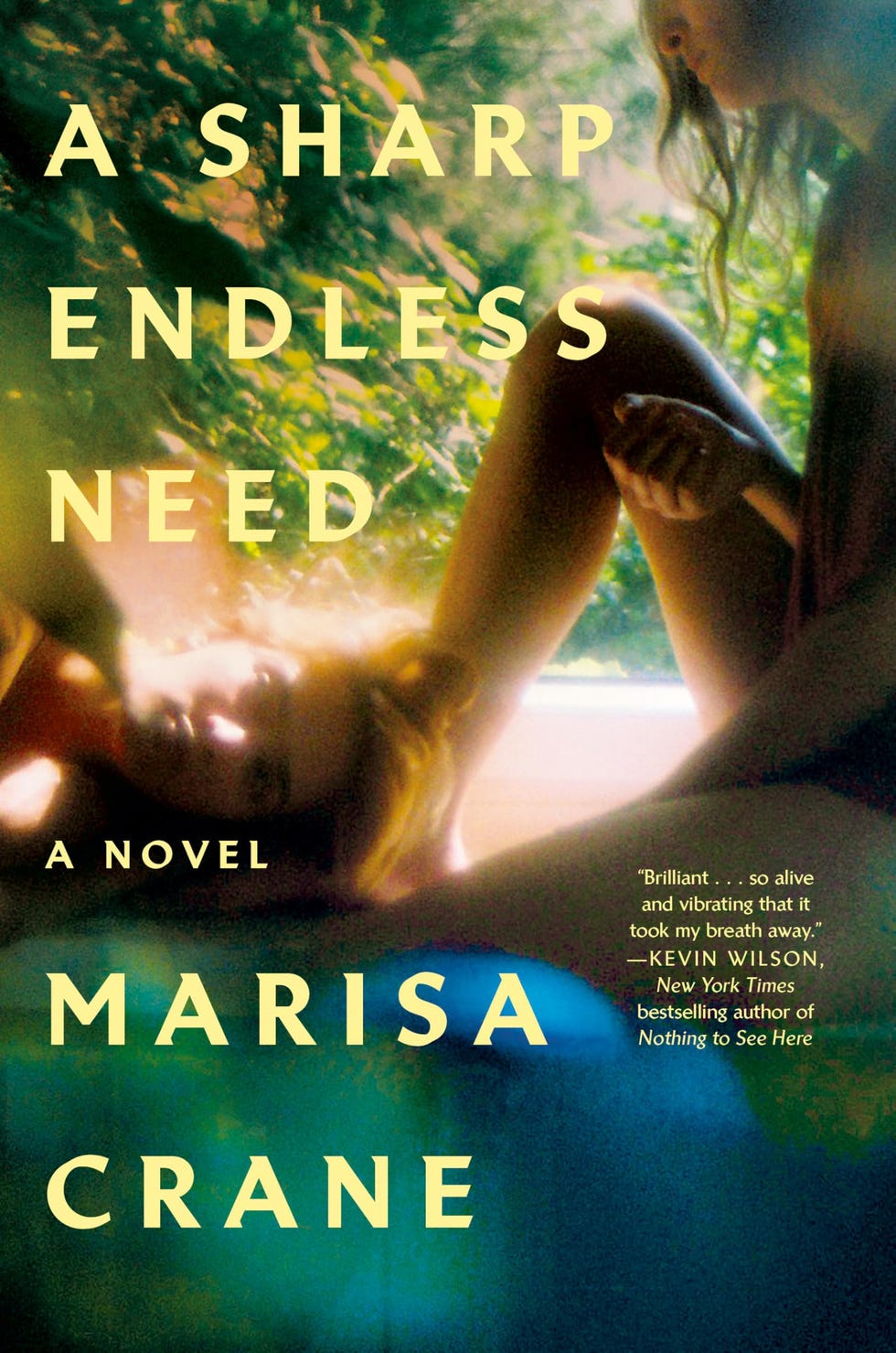<i>A Sharp Endless Need</i> by Marisa Crane