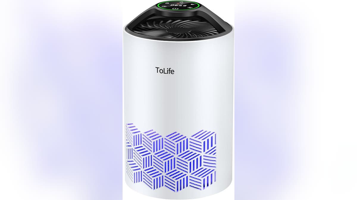This is a unique-looking air purifier that uses HEPA filters. 
