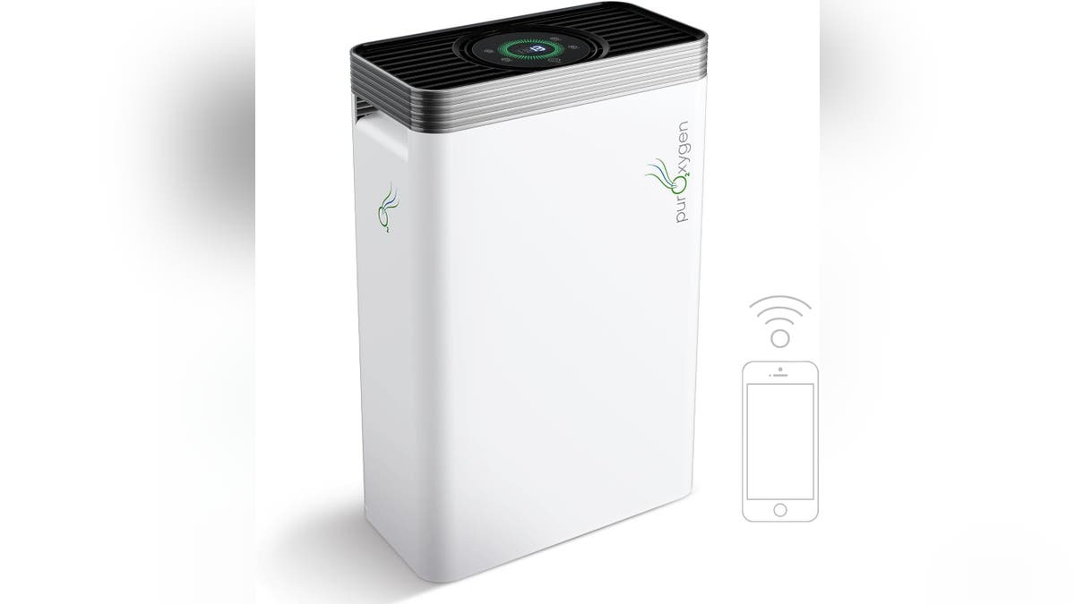 The built-in sensors in this purifier will help keep all the rooms in your home fresh. 