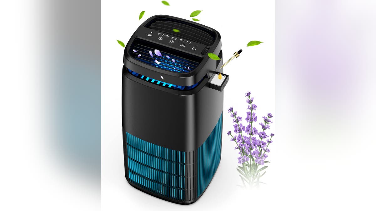 Keep your home smelling fresh with an air purifier with a built-in scent diffuser. 