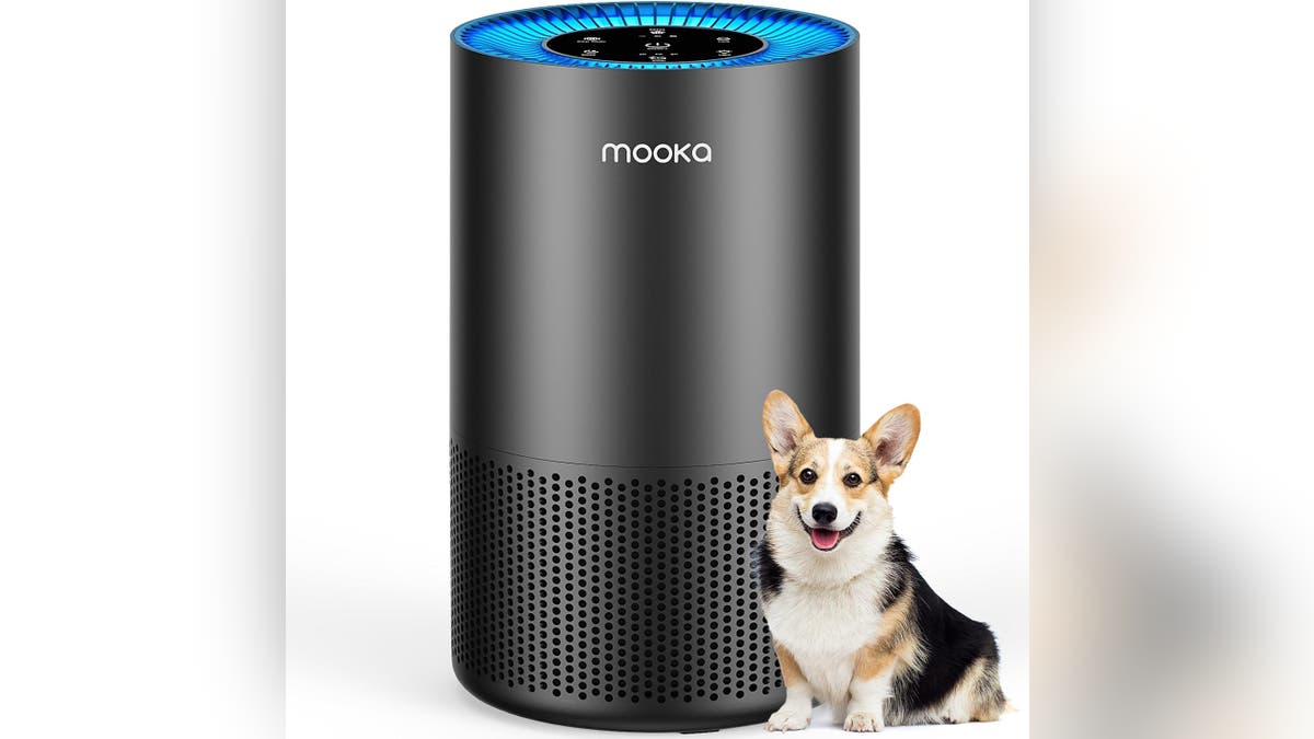 The Mooka air purifier keeps pet hair out of the air. 