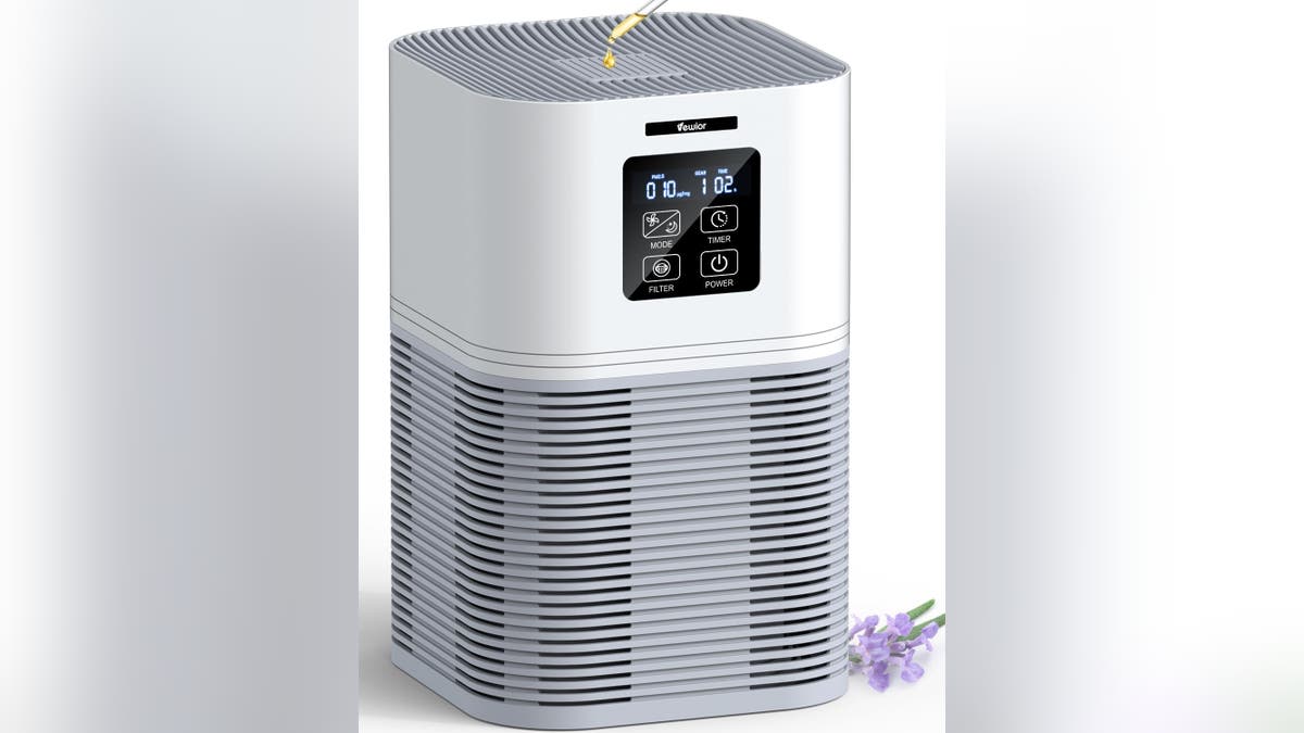 This air purifier is perfect for nighttime use due to its quiet nature. 