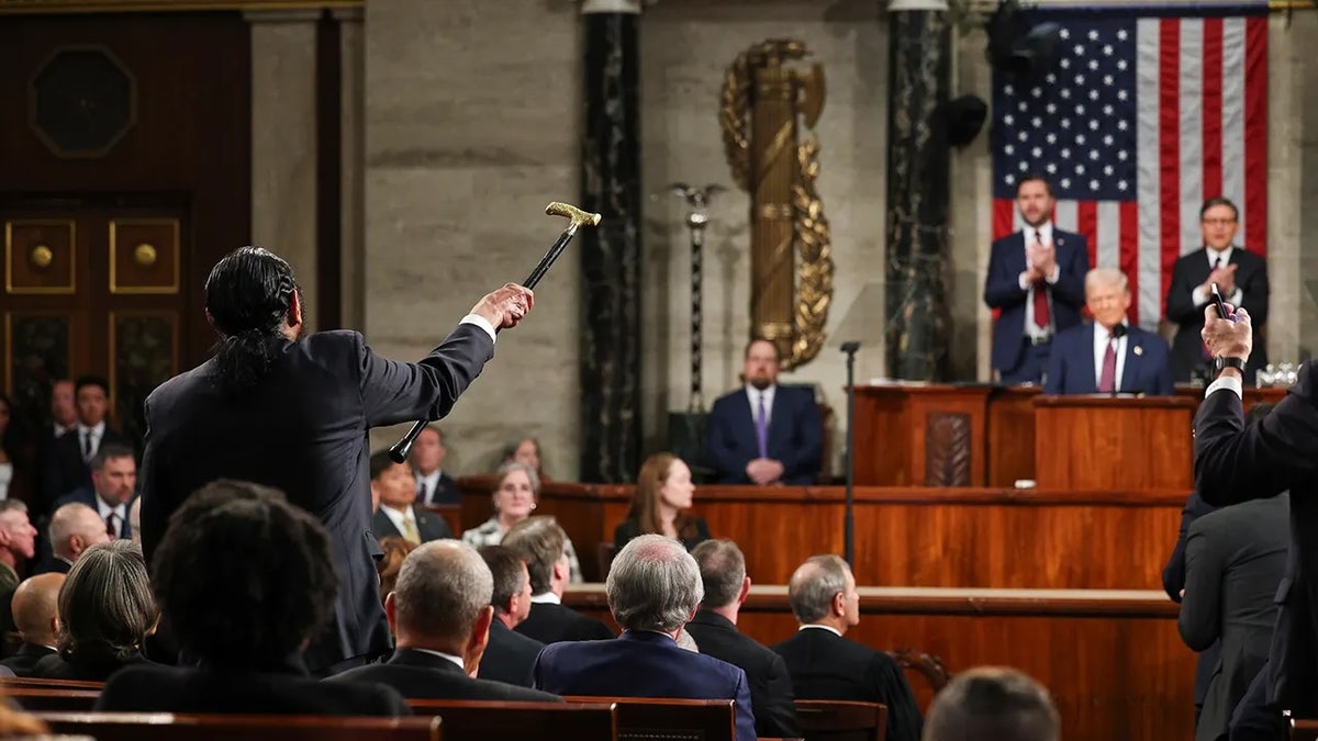 President Donald Trump was interrupted by Rep. Al Green during his joint address to Congress.