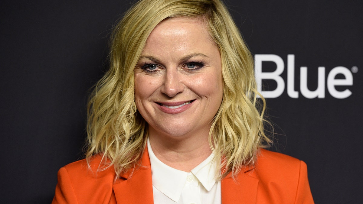 Amy Poehler