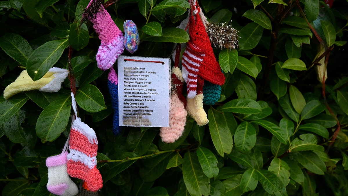 A detail view of some of the victims names hanging from a tree at the Tuam graveyard