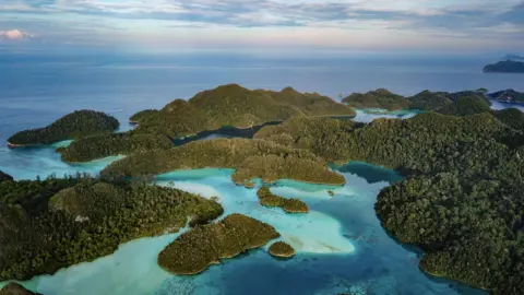 Global Witness An aerial photograph of a group of small, forested islands in turquoise blue seas. This is a view of a small section of hundreds of islands that make up the The Raja Ampat archipelago - a group of small islands in the country's Southwest Papua Province is sometimes referred to as the "Amazon of the Seas".