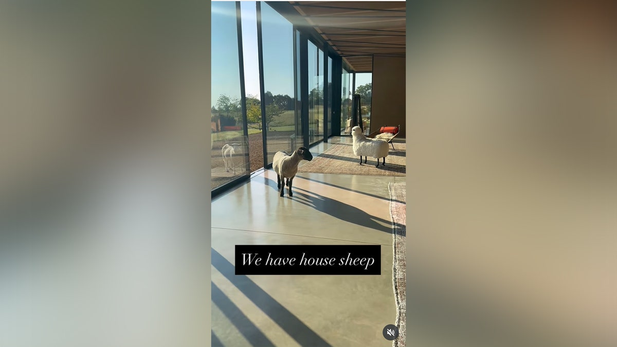 DeGeneres showed off her home while filming sheep which broke in.