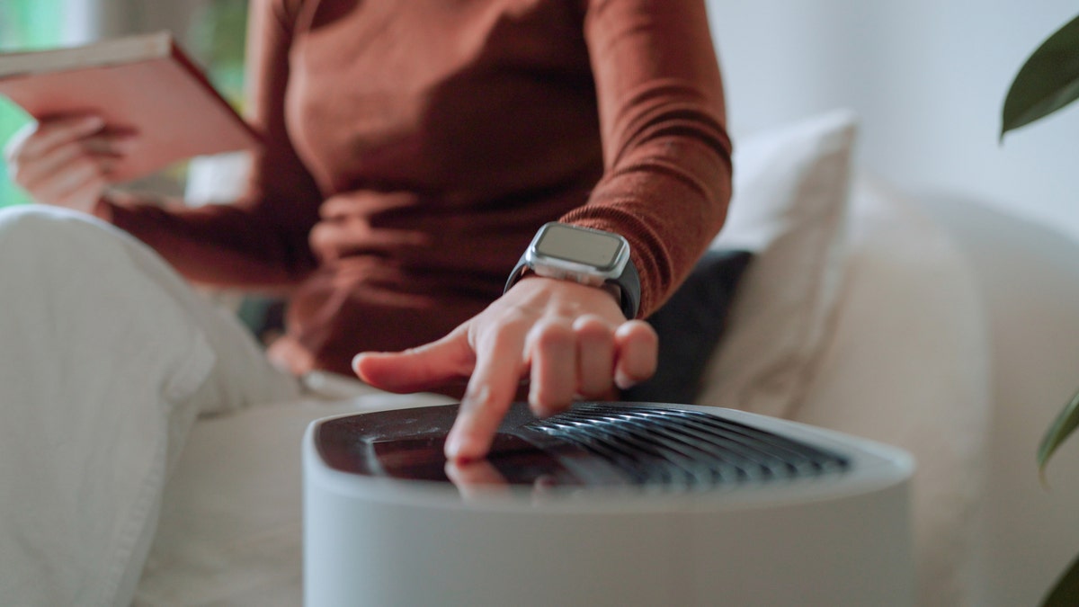 Keep your home dust and allergy-free with the right air purifier. 