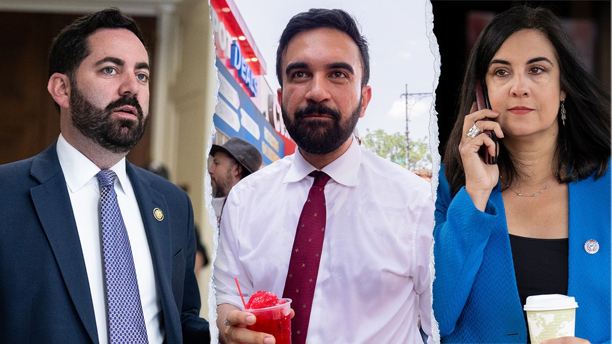 Mike Lawler, Nicole Malliotakis, Zohran Mamdani
