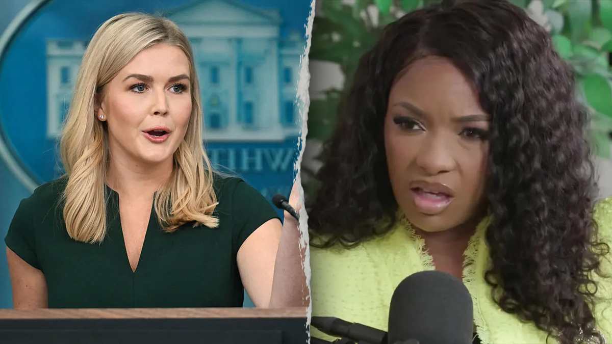 White House press secretary Karoline Leavitt clapped back against Rep. Jasmine Crockett, D-Texas, after she accused President Donald Trump supporters of being mentally ill.