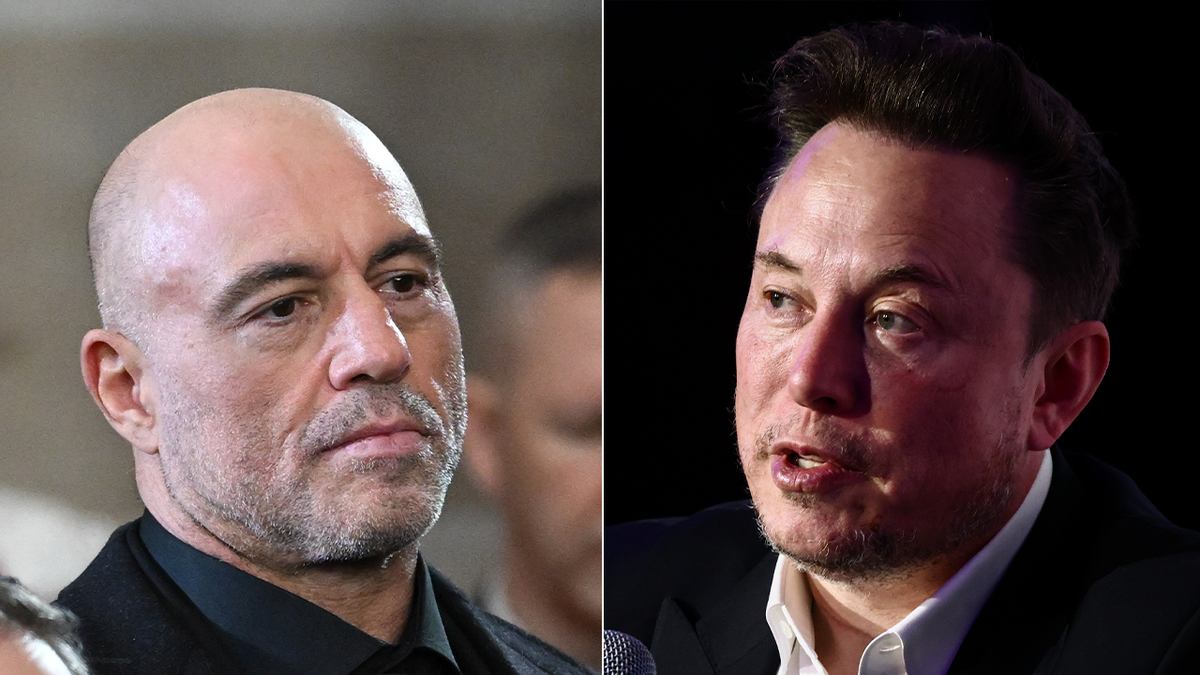 Joe Rogan and Elon Musk