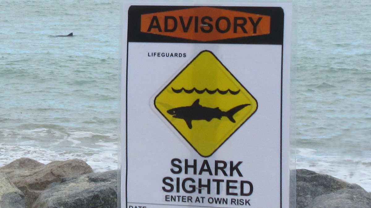 Shark warning