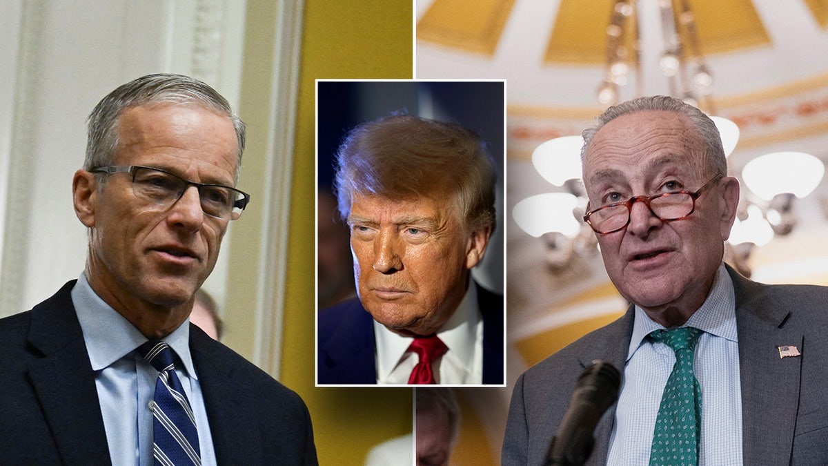 John Thune, Donald Trump, Chuck Schumer in photo split