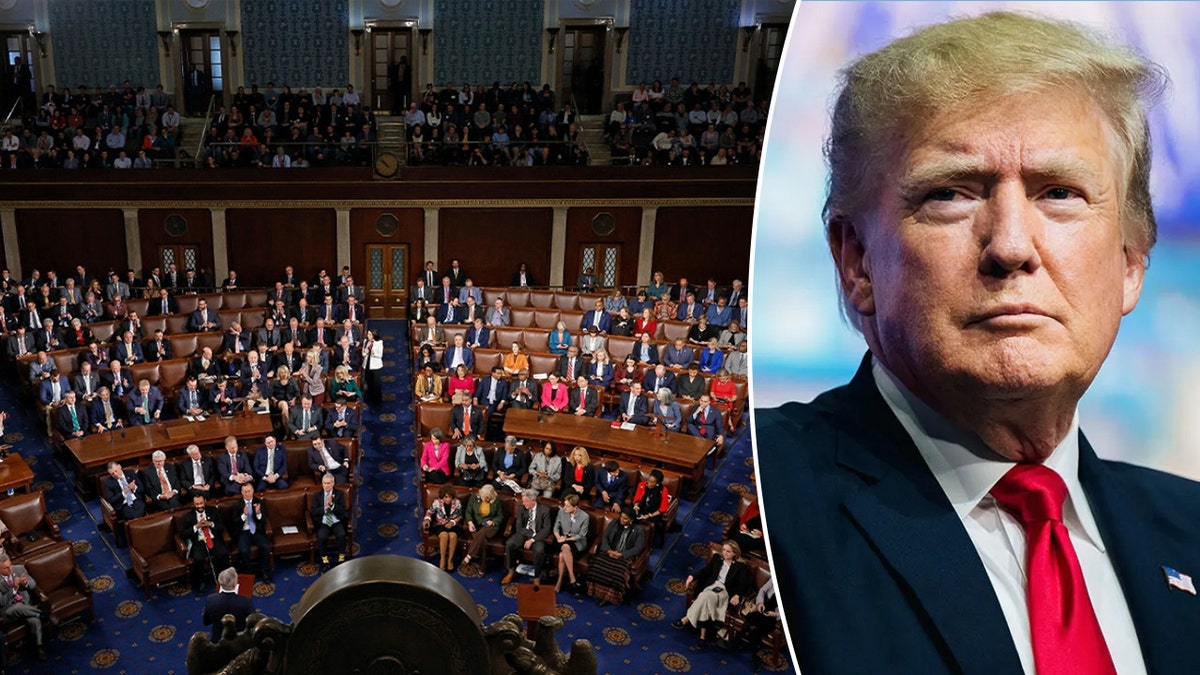 Members of Congress sitting and Donald Trump looks on in split image