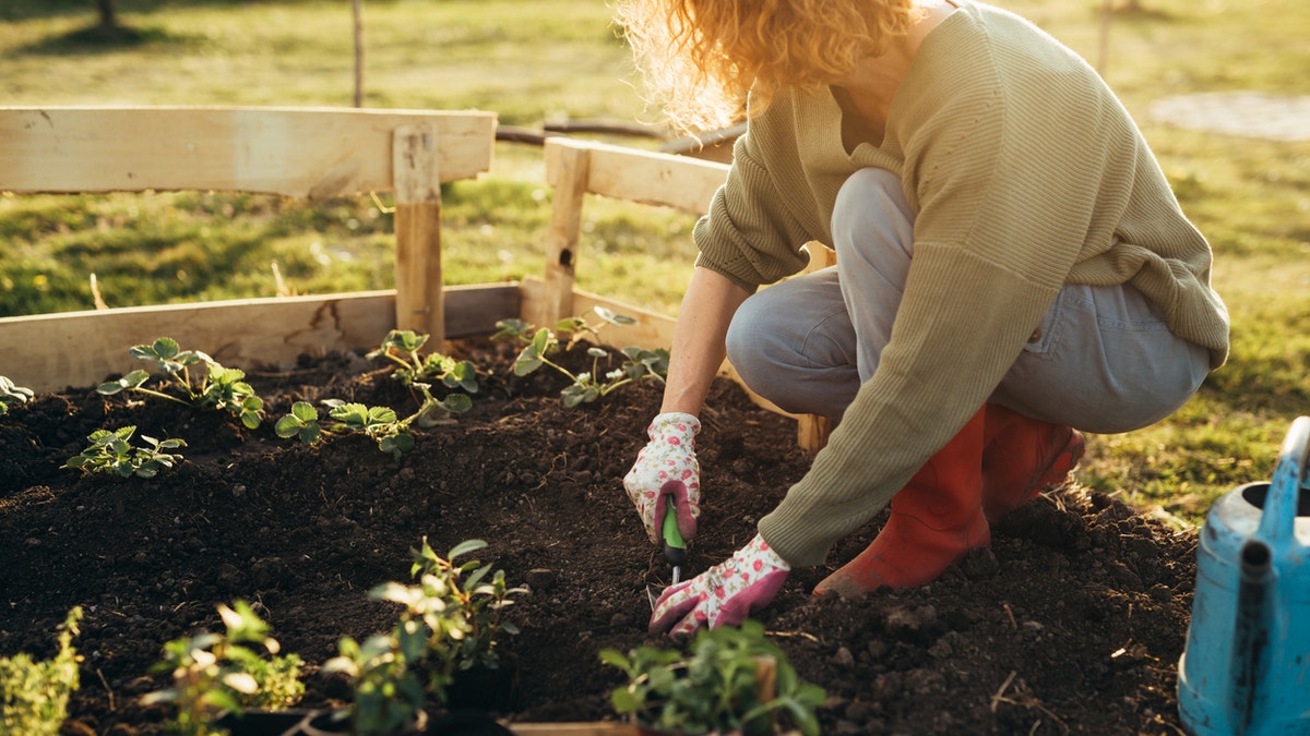 woman working in garden