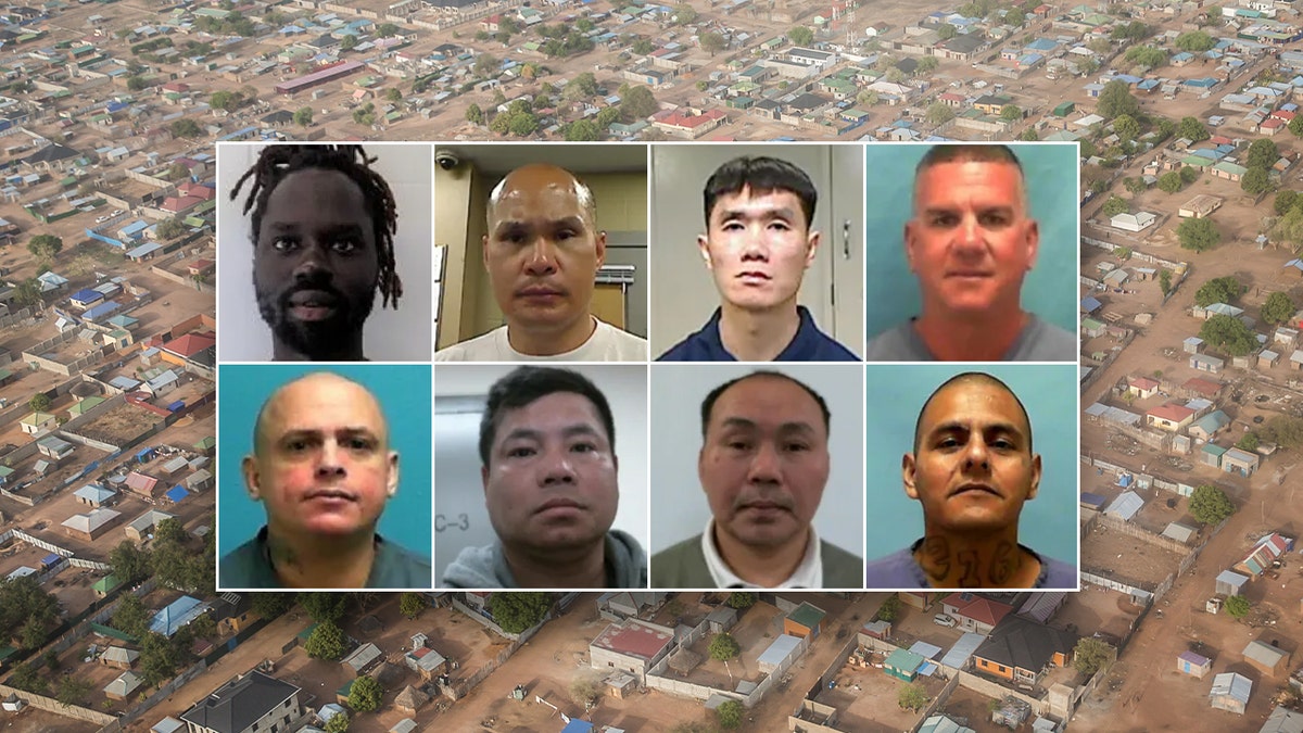 8 criminal illegal alien mugshots deported to South Sudan