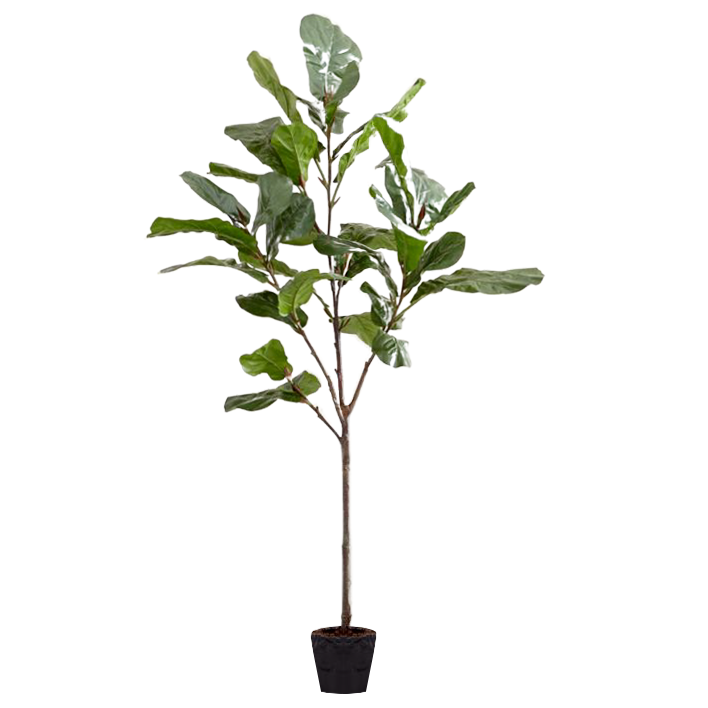 Faux 7’ Fiddle Leaf Fig Tree