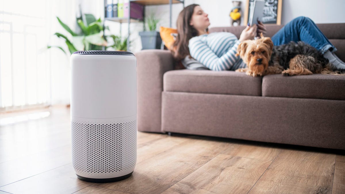 Get early Amazon Labor Day deals on comforters, air purifiers and more.
