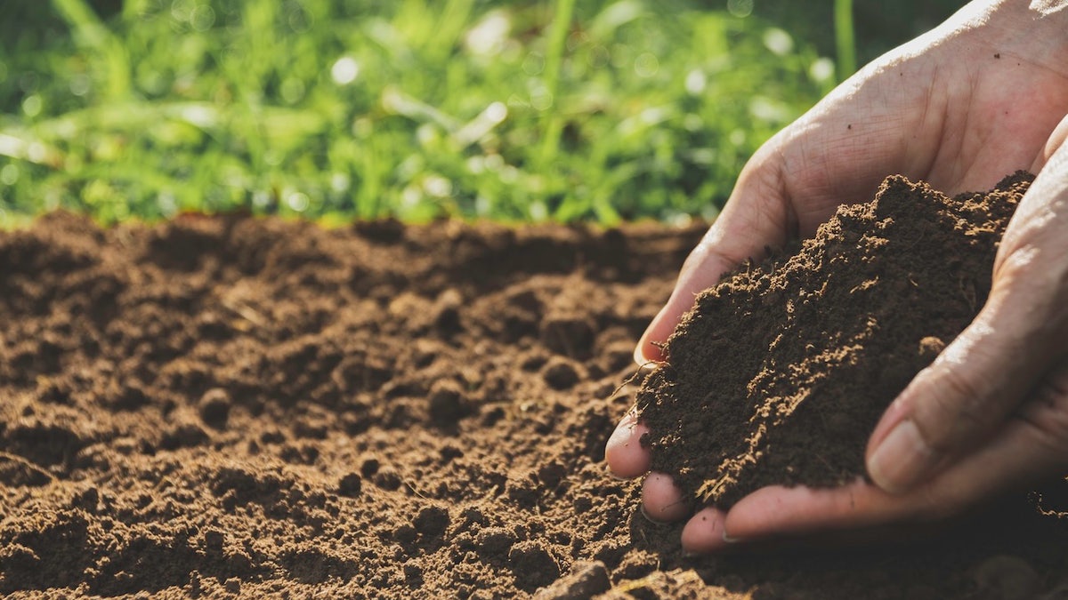 Digging soil