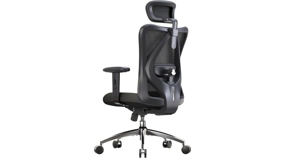 This chair offers top ergonomic features at a relatively affordable price point.