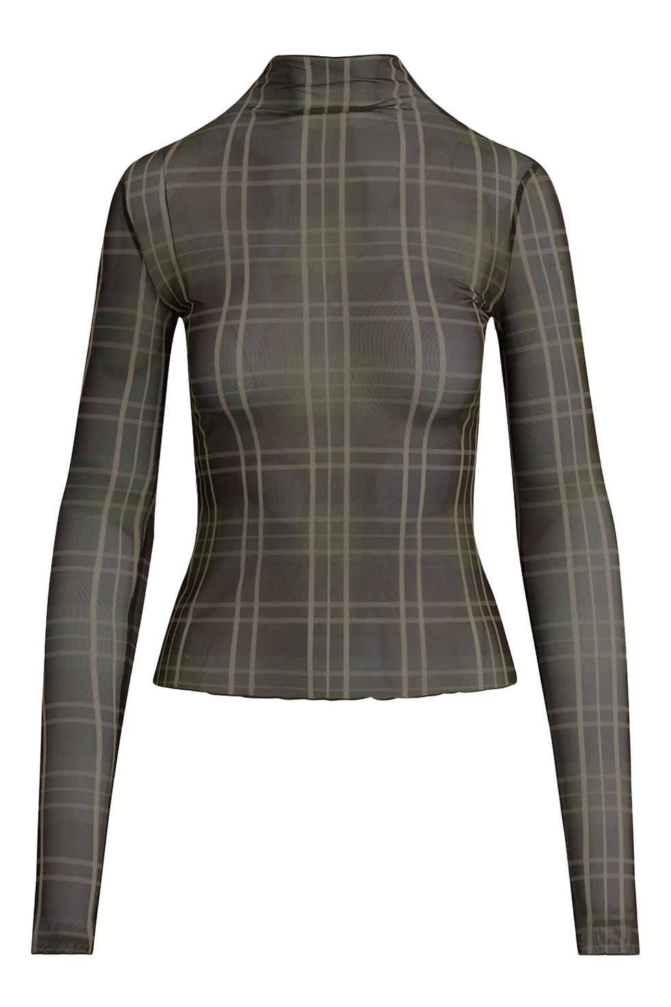 The Sheer Fantasy Turtleneck Top