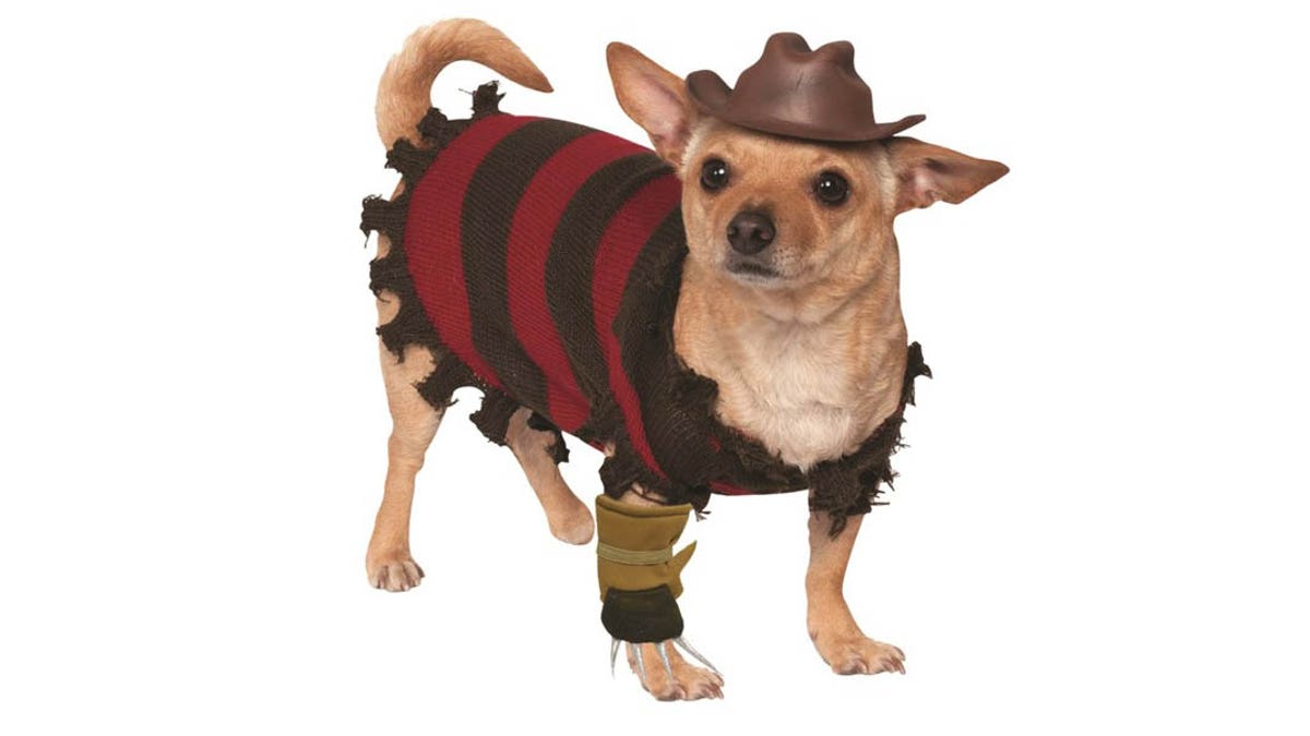 For a scary costume, go with Freddy Kruger. 