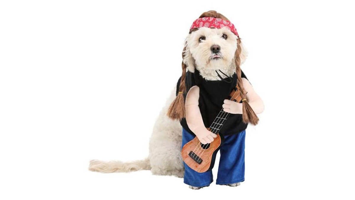 Your dog could become one of the best musicians to date. 