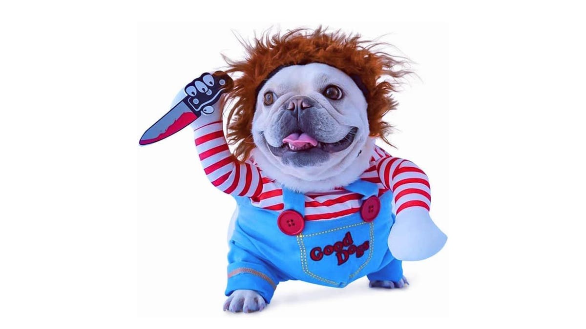 Love horror movies? Then you'll love this costume. 