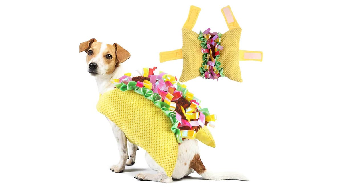 Dress your dog up as everyone's favorite food, tacos!