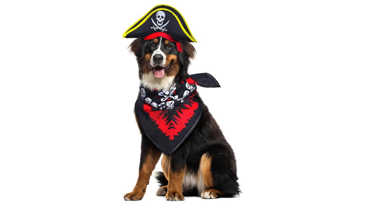For a timeless look, go with a pirate costume. 