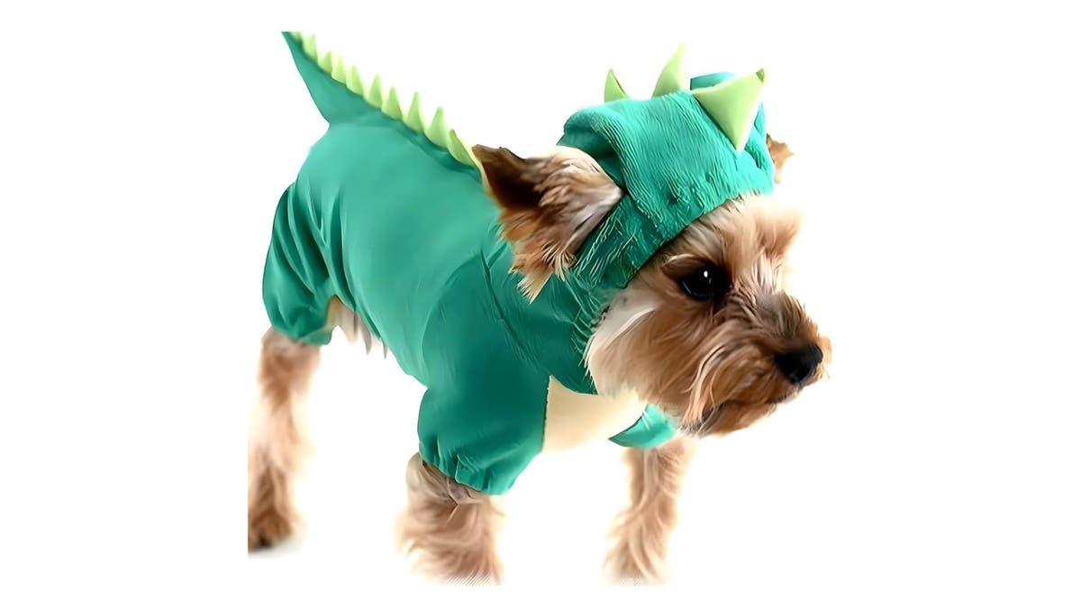 This adorable dinosaur costume will be a huge hit. 