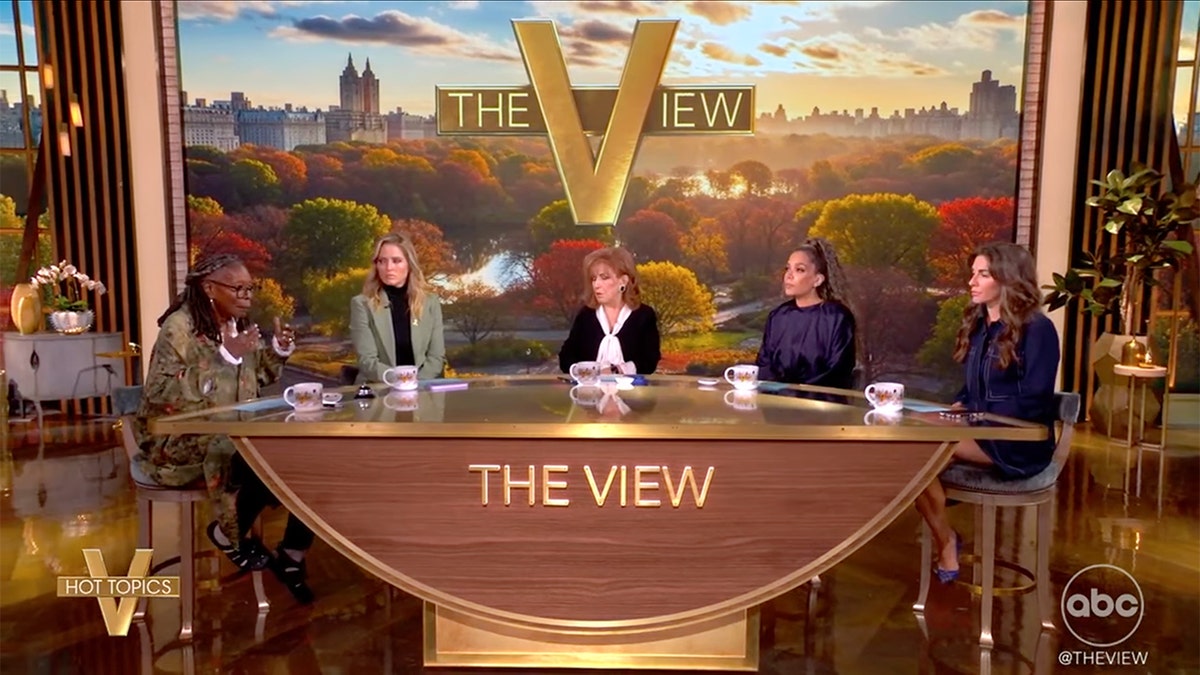 ABC's 'The View' co-hosts