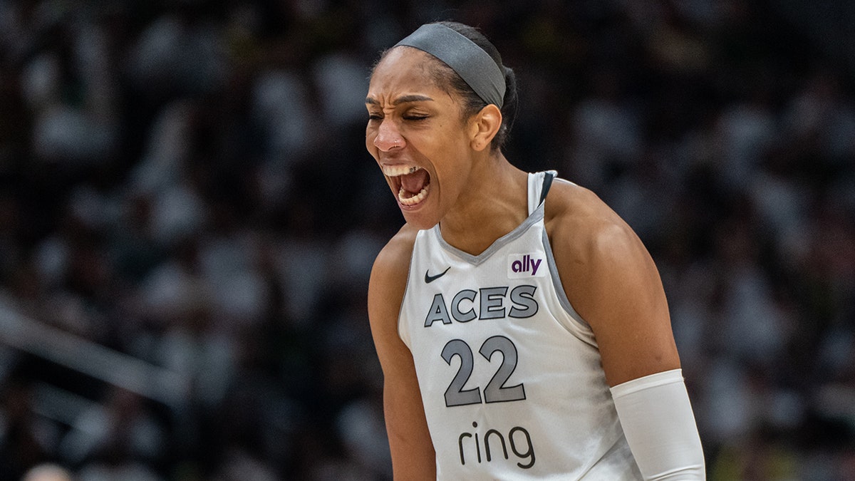 A'ja Wilson reacts on court