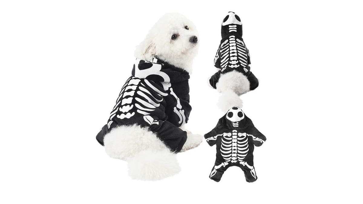 Turn your pup into a spooky skeleton for Halloween. 