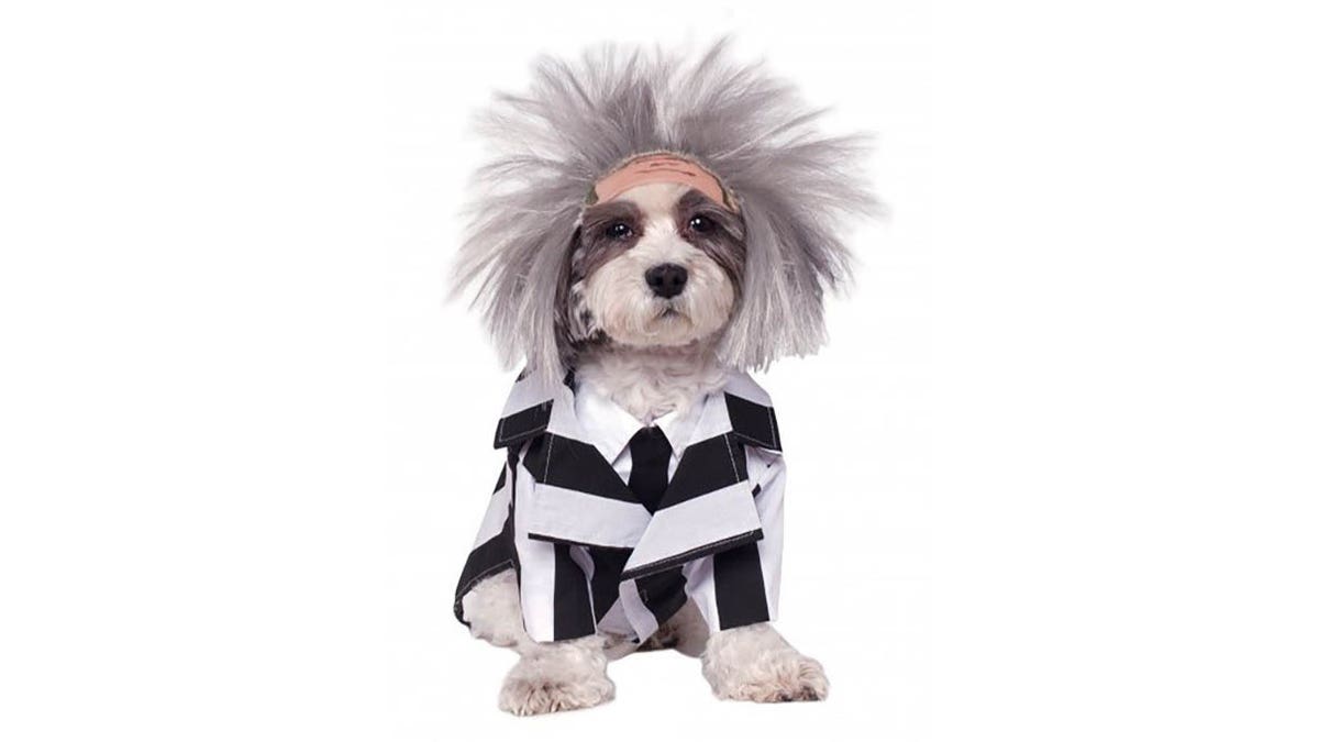 Don't say your pet's name three times while they're wearing this costume. 