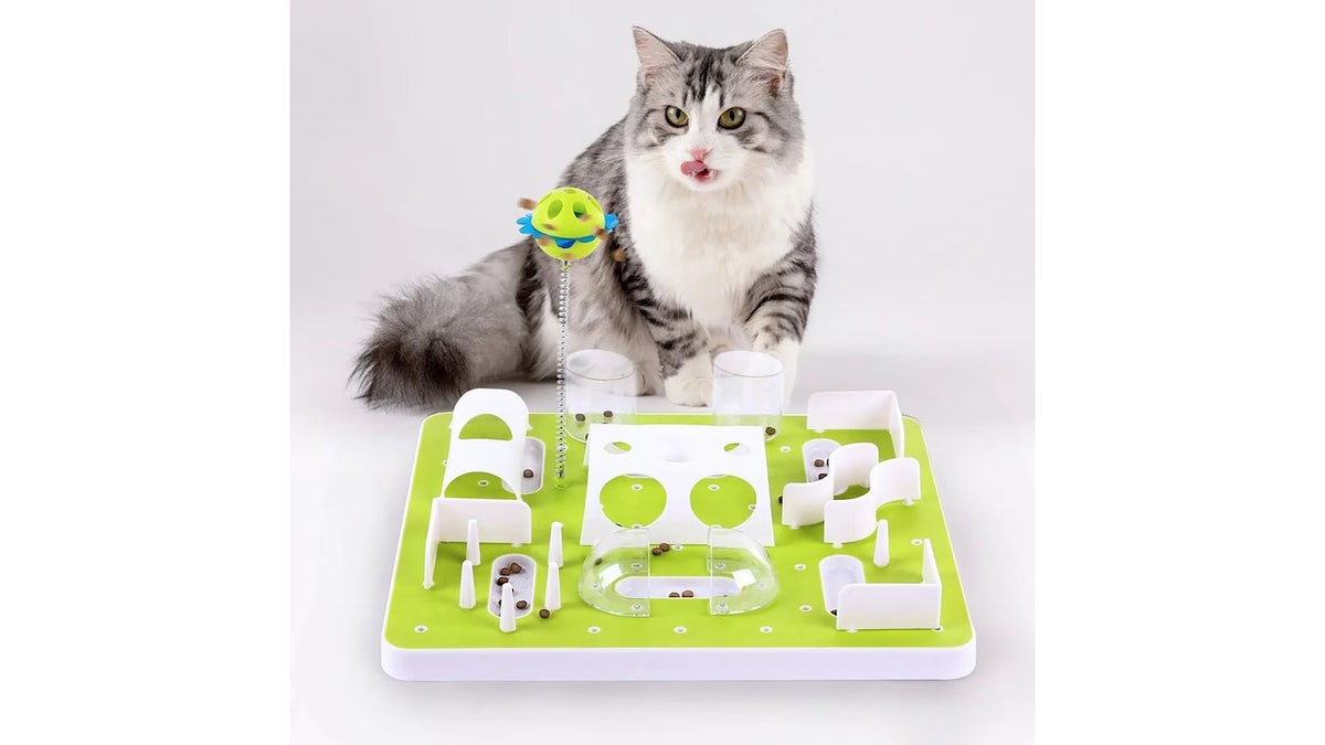 Keep your cat engaged with a puzzle toy.