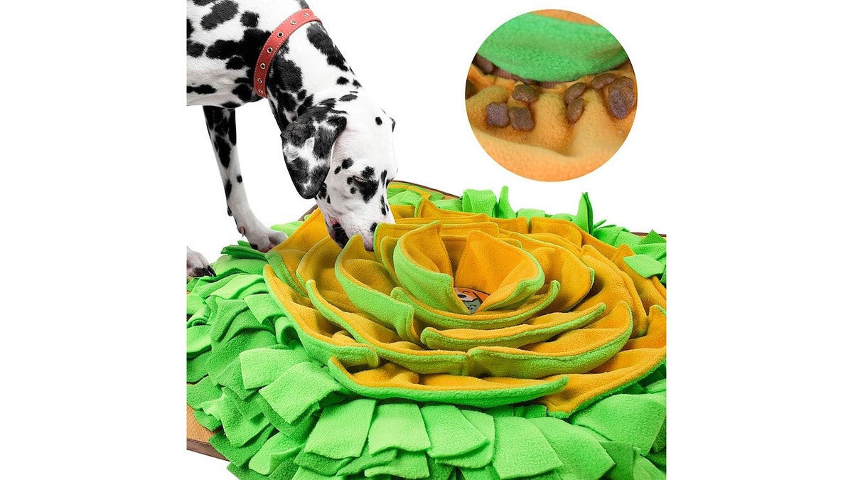Hide snacks throughout this snuffle mat and keep your dog’s nose occupied.