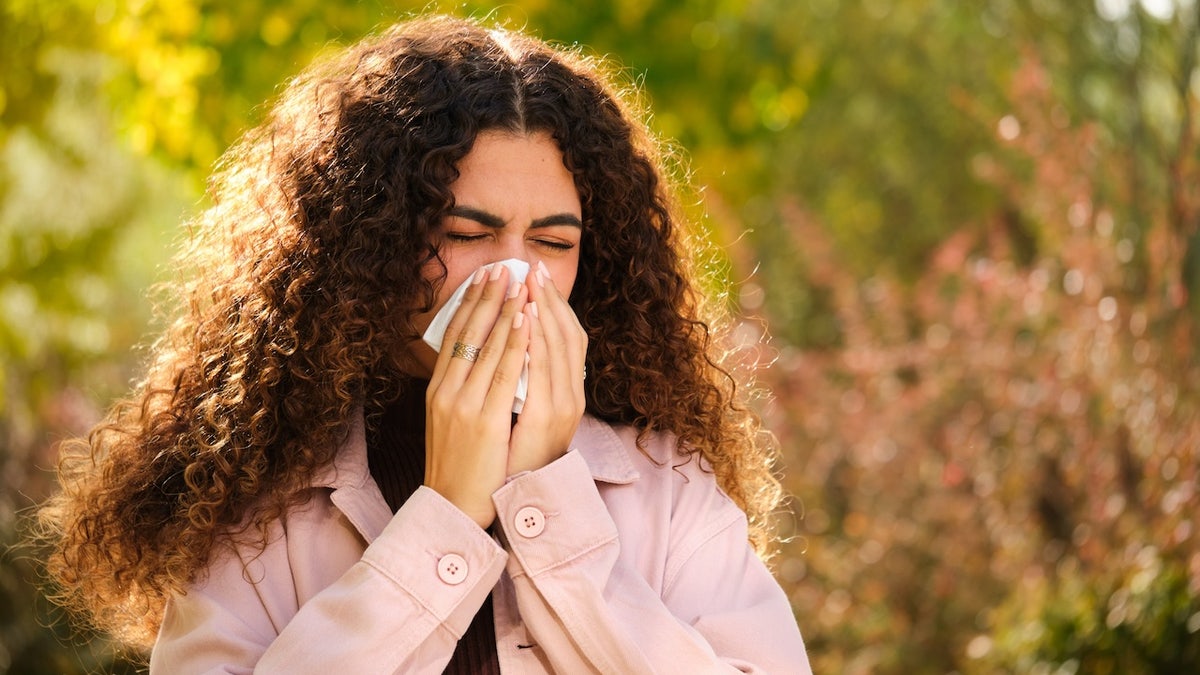 Keep your home dust and allergy-free with the right air purifier. 