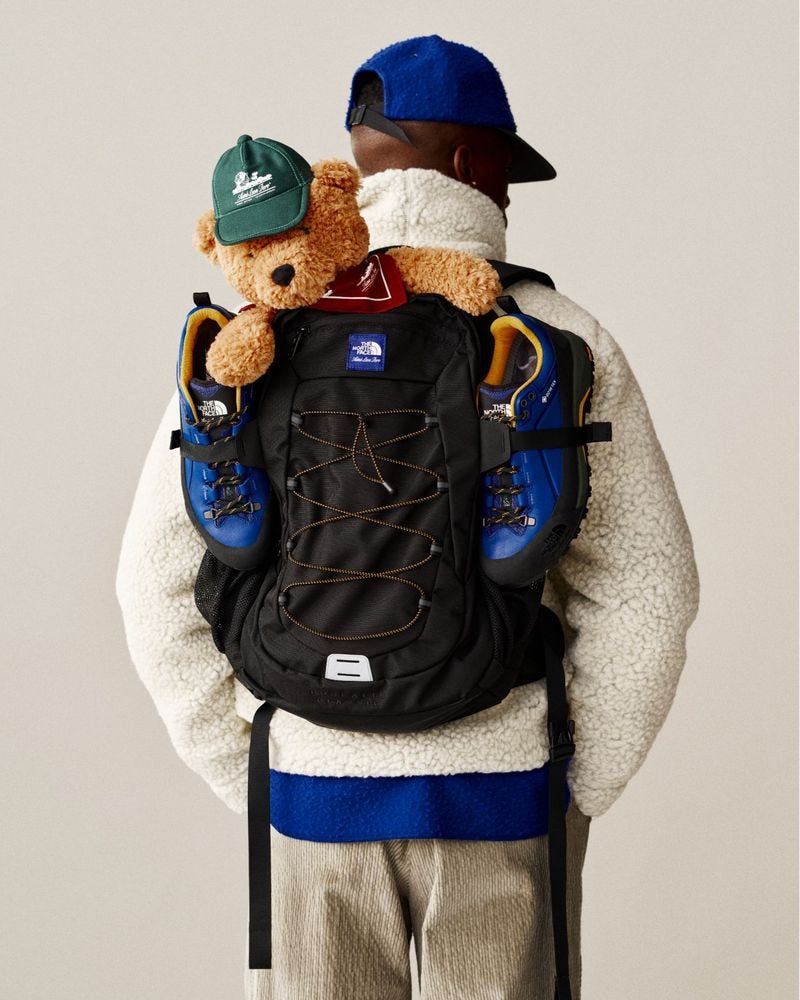 aime leon dore x the north face