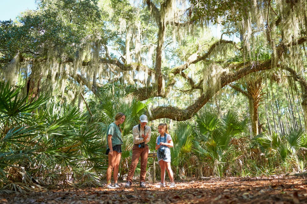 little st. simons island, october 2021