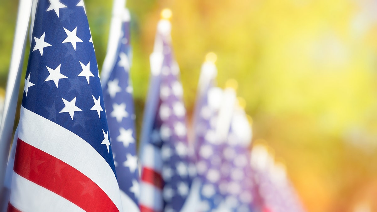 Closeup of an American flag in a row. Memorial day, Independence day, Veterans day concept. Copy space.