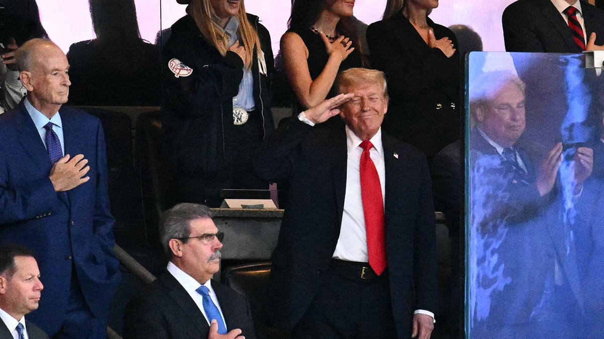 Trump saluting at Yankee game