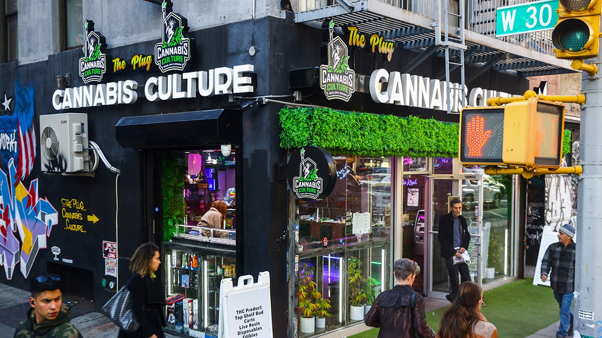cannabis culture dispensary storefront